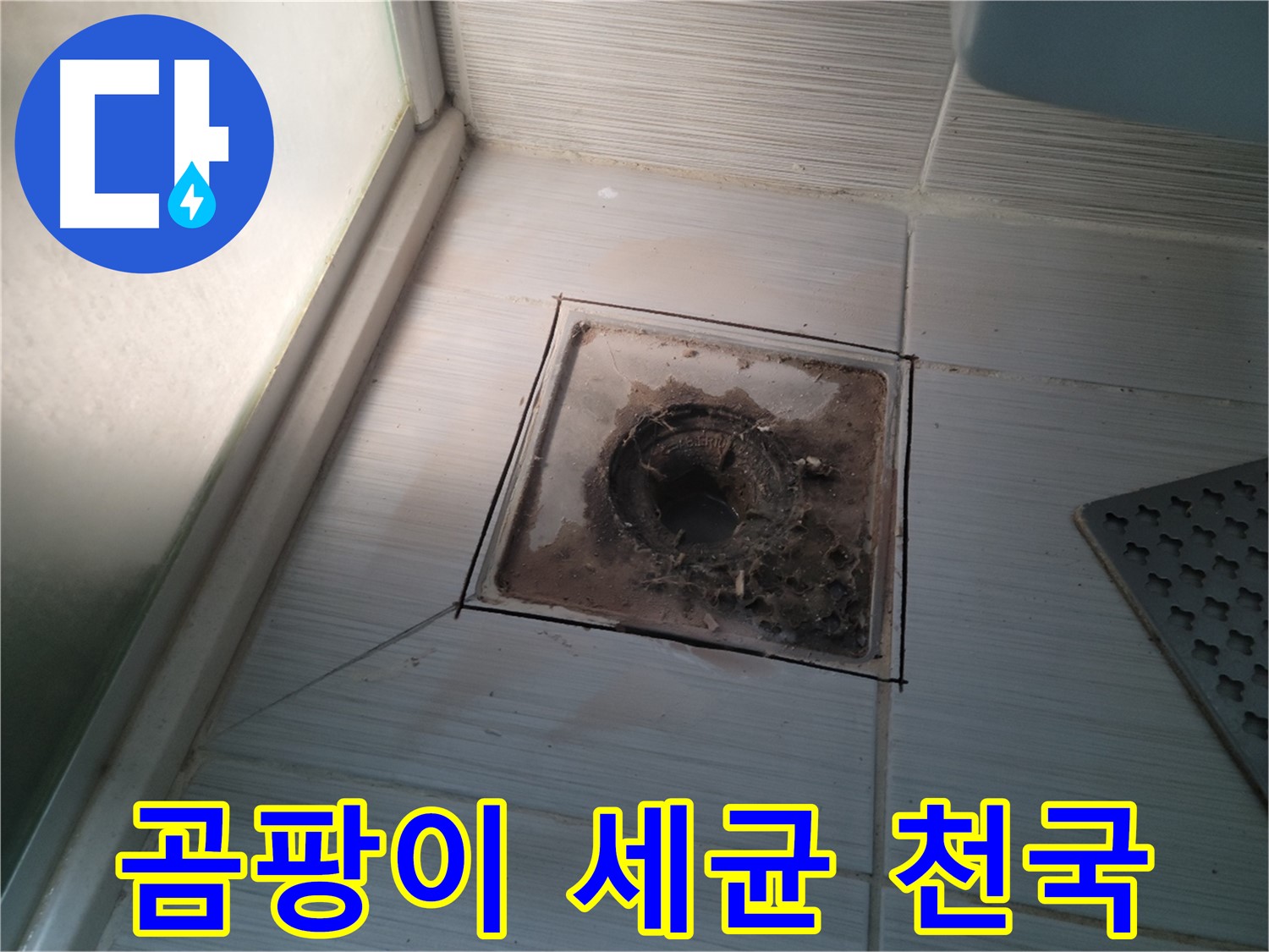 신창비바패밀리 욕실 배수구 주변 - 곰팡이와 세균의 천국!