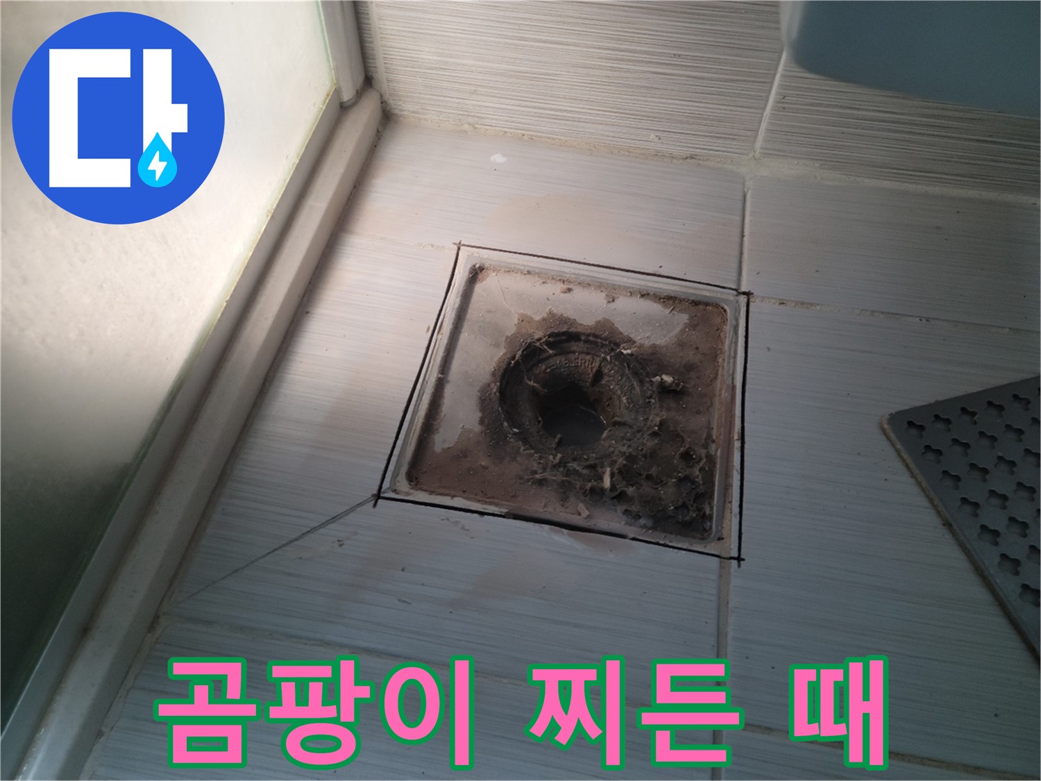 신창비바패밀리 욕실 배수구 주변 - 곰팡이와 찌든 때의 콜라보, 누수 위험 신호!