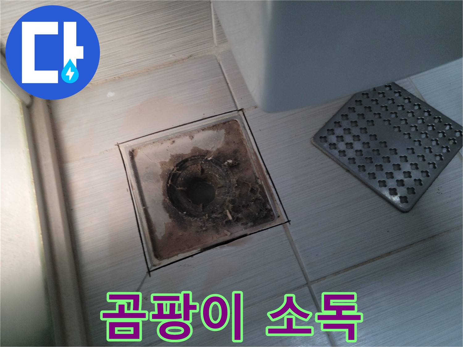 욕실 배수구 - 곰팡이 천국 - 살균 소독으로 깨끗하게