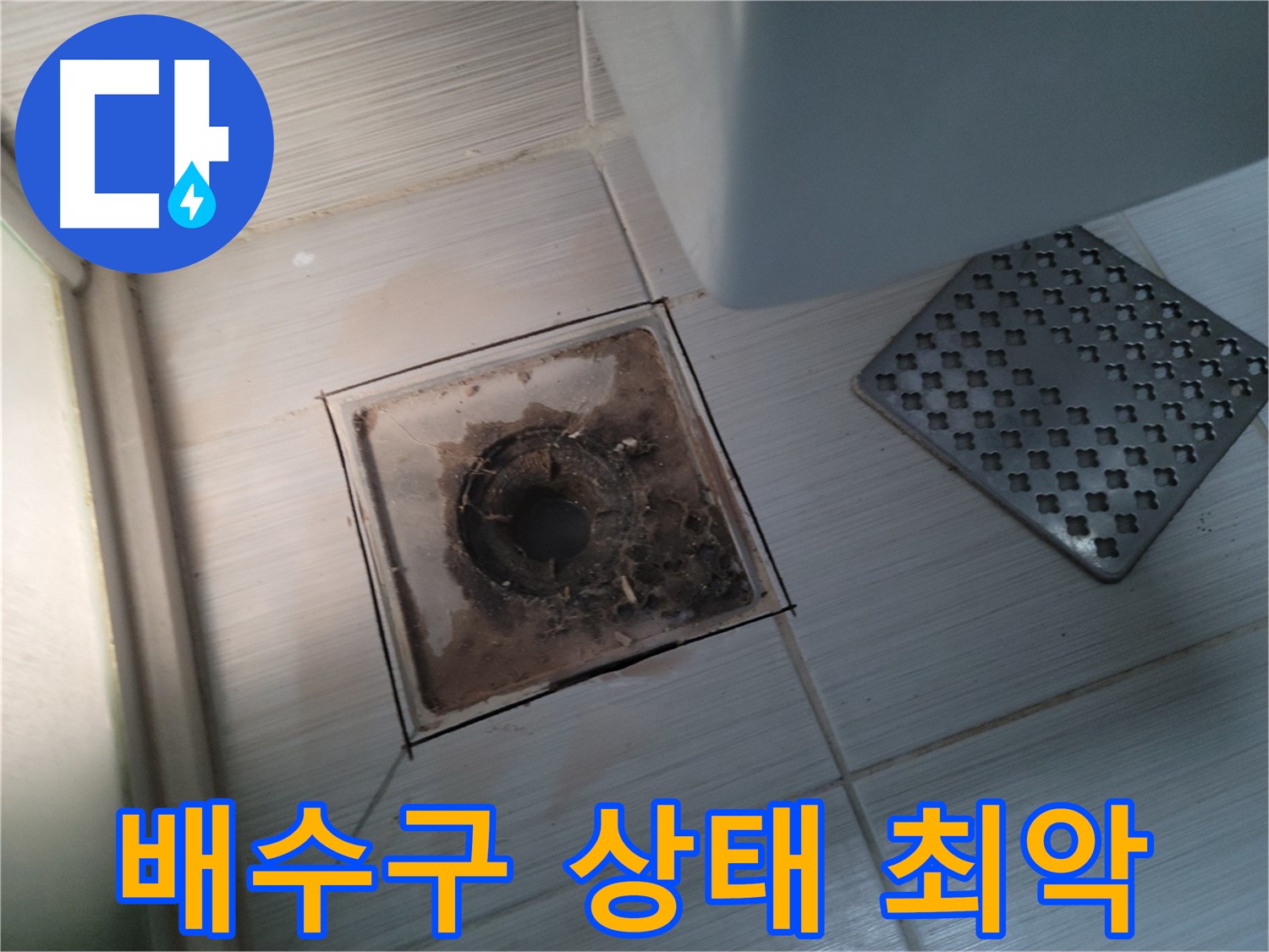 욕실 배수구 - 오염 상태 최악 - 긴급 점검 및 청소 필요