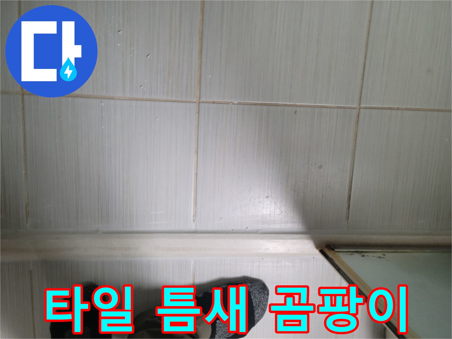 타일 틈새 곰팡이 - 누수의 증거일 수 있습니다. 꼼꼼한 점검이 필요합니다.