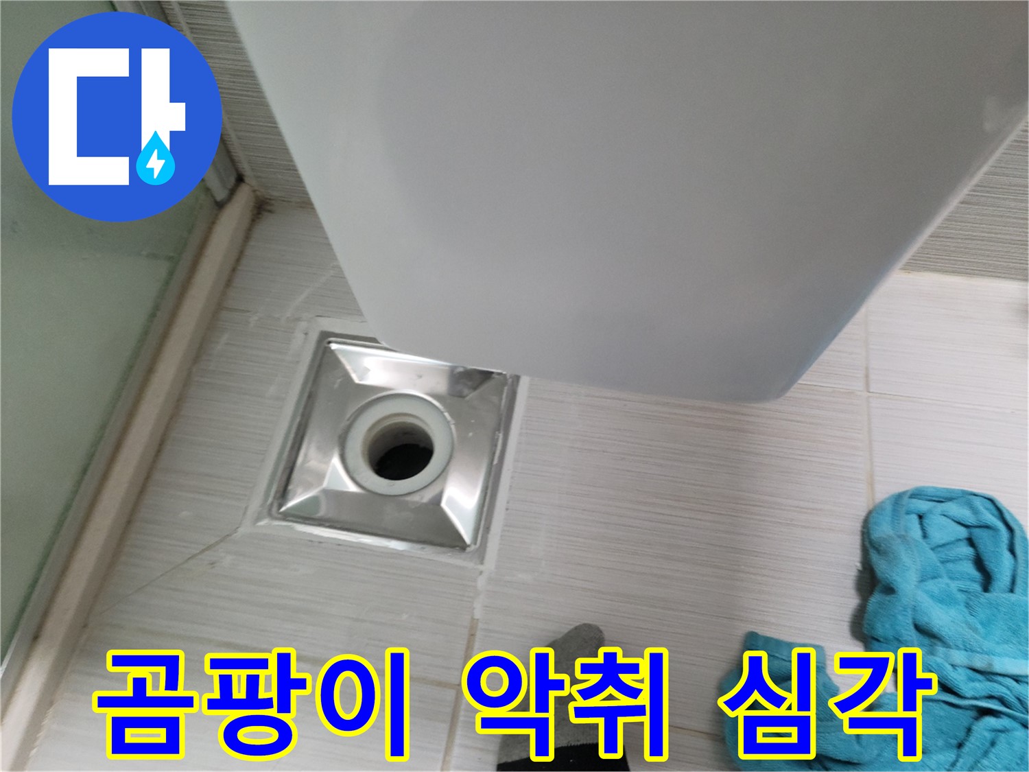 트랩 주변 누수 - 심각한 곰팡이 및 악취