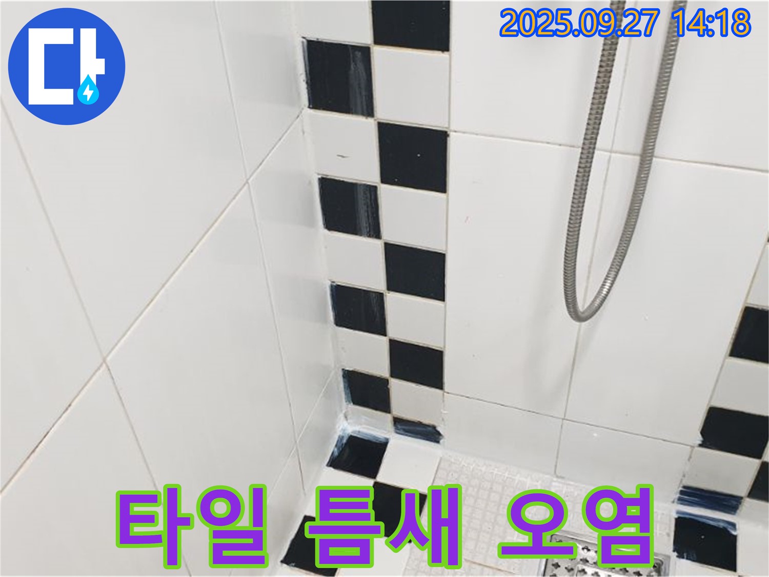 광적면 광석리 욕실 - 샤워기 벽면 타일 틈새 오염, 곰팡이