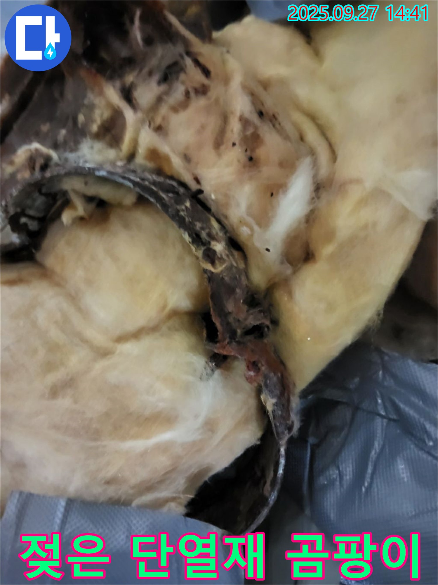 젖은 단열재 - 곰팡이 서식지? - 광적면 누수탐지