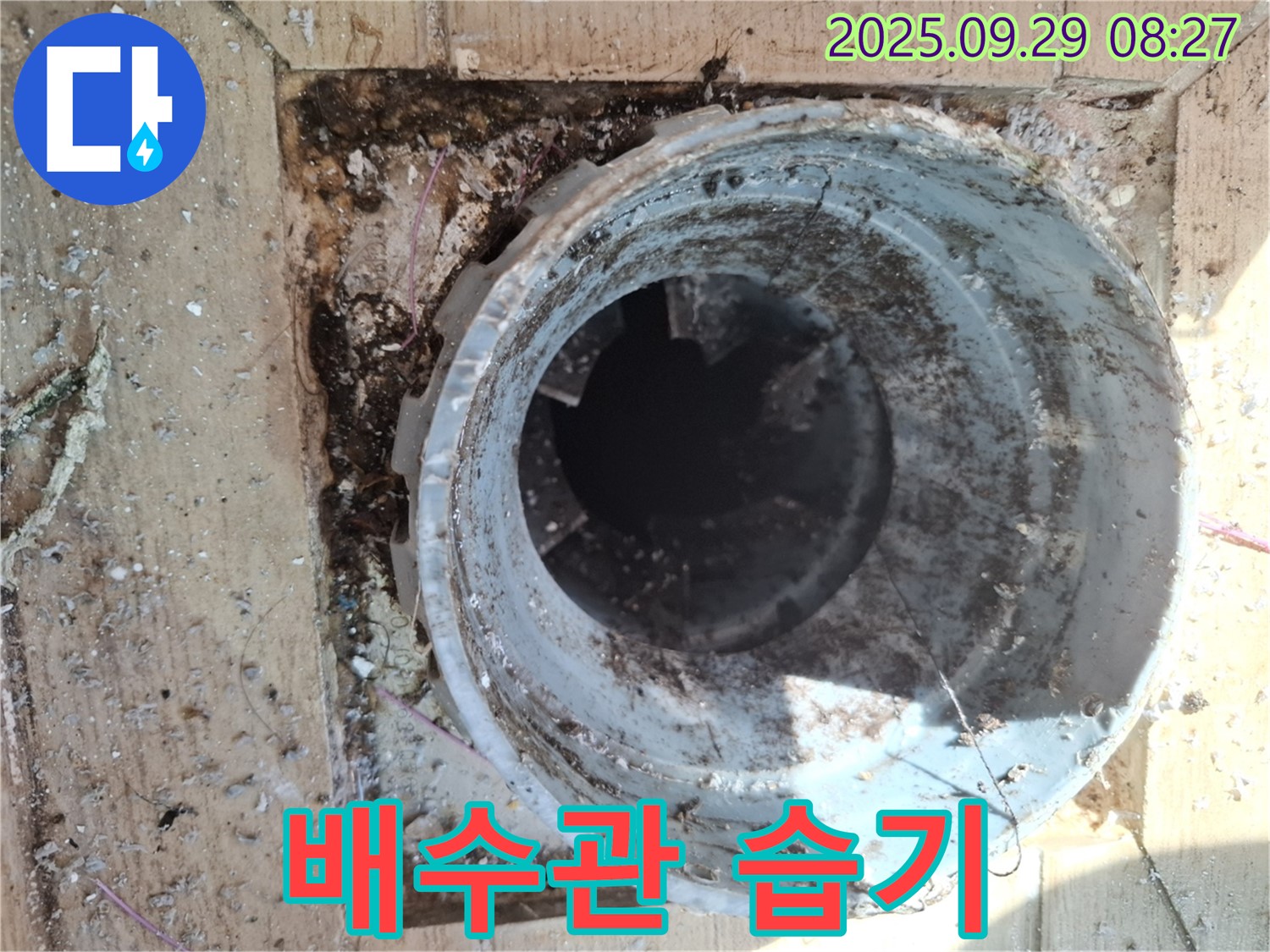 양주시 광적면 우고리 - 배수관 주변 습기, 곰팡이 번식 환경 조성