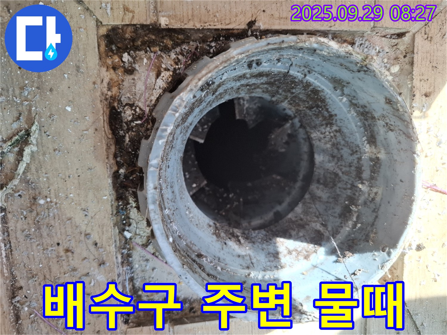 양주시 광적면 우고리 - 배수구 주변 물때로 인한 미끄럼 사고 위험