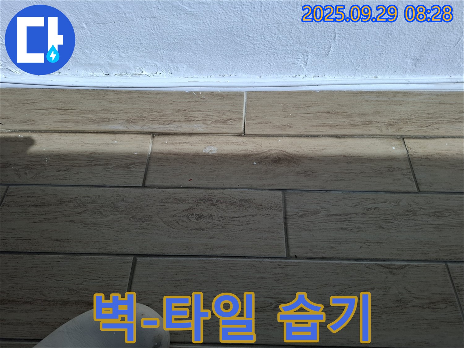 양주시 광적면 우고리 - 벽과 타일 사이 습기 문제 - 누수 전문가가 해결합니다.