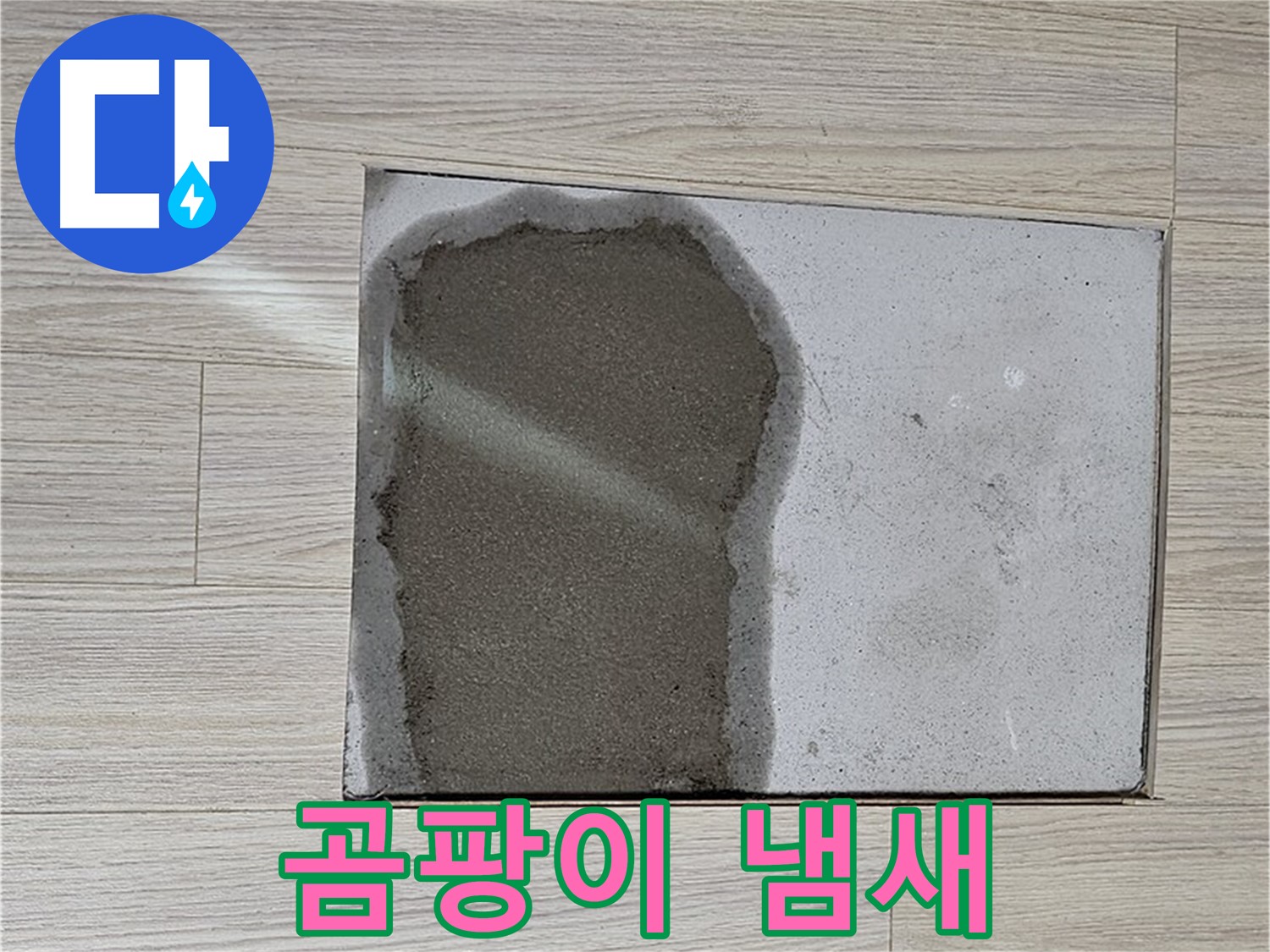 도봉구 도봉동 현대시티 - 마루 철거 후 콘크리트 습기, 곰팡이 냄새 발생