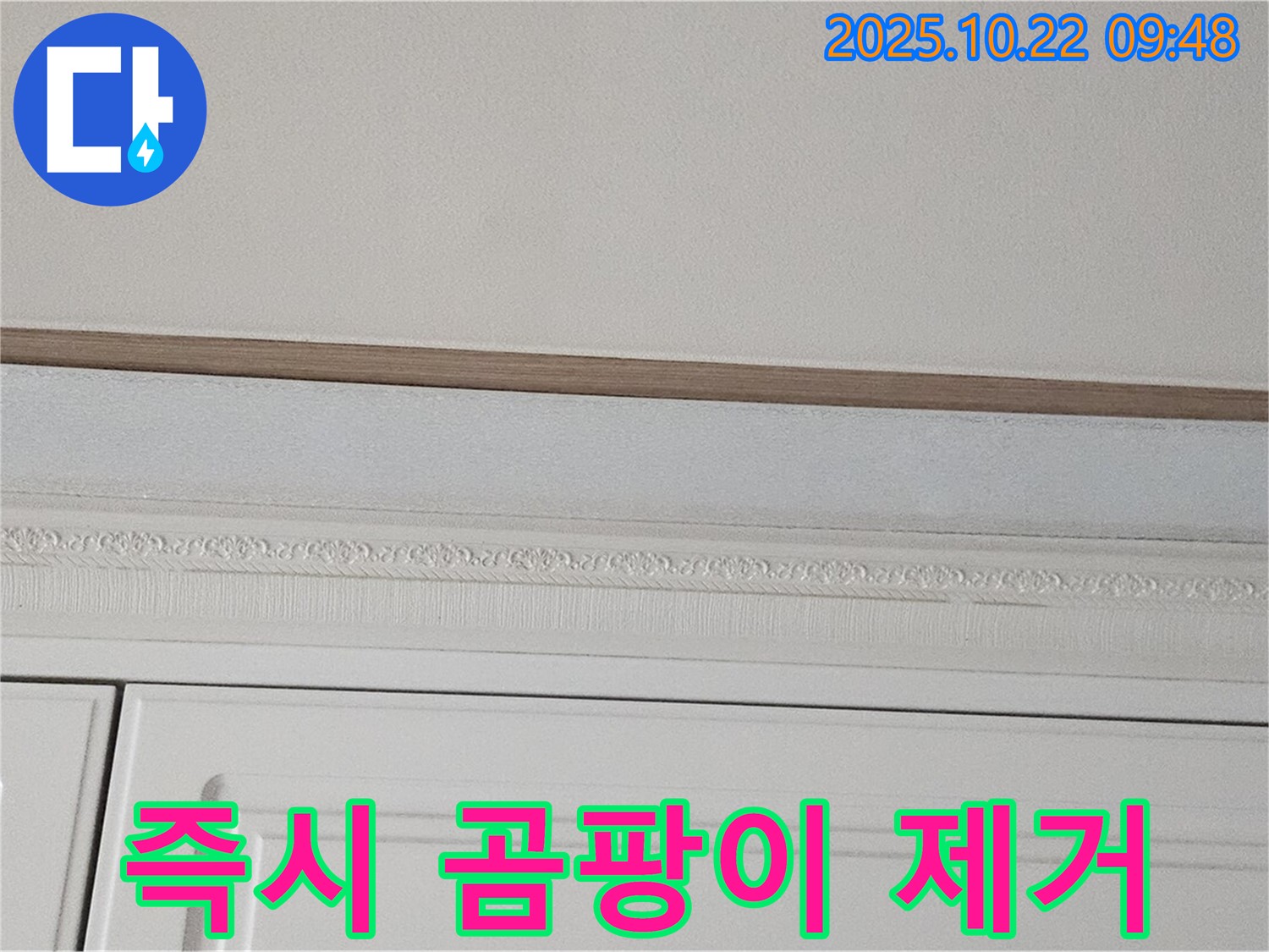 도봉구 현대시티 누수 - 곰팡이 핀 석고보드, 건강을 위해 즉시 제거하세요!