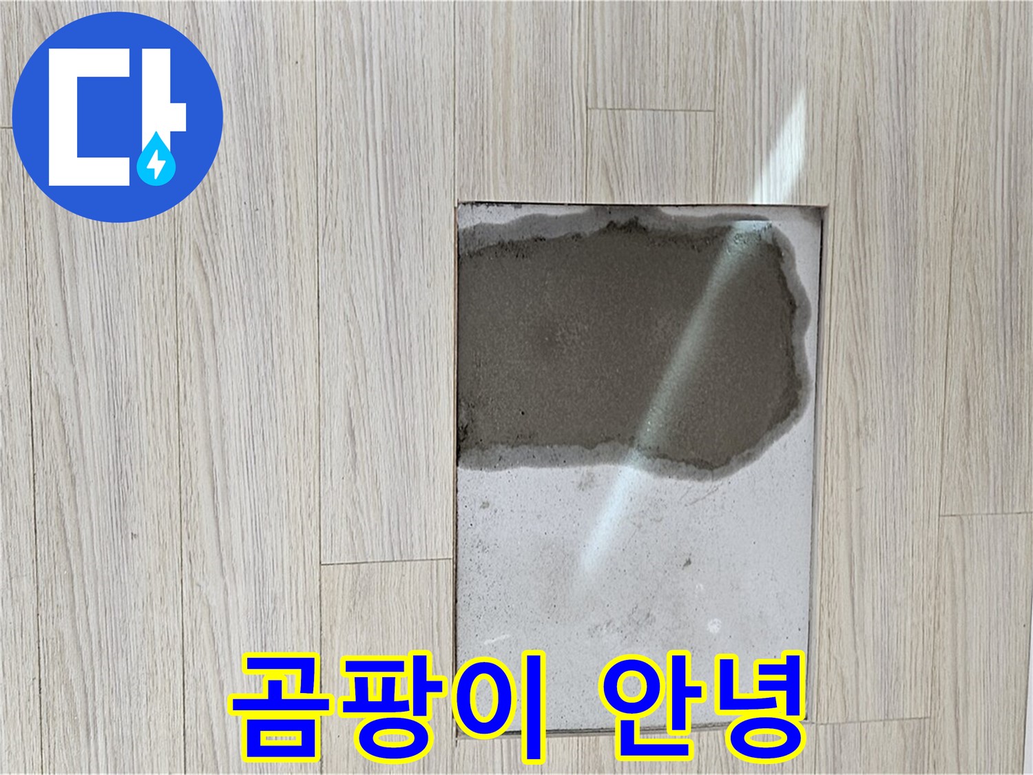 도봉구 현대시티 마루 곰팡이 - 곰팡이 제거 후 깨끗한 마루