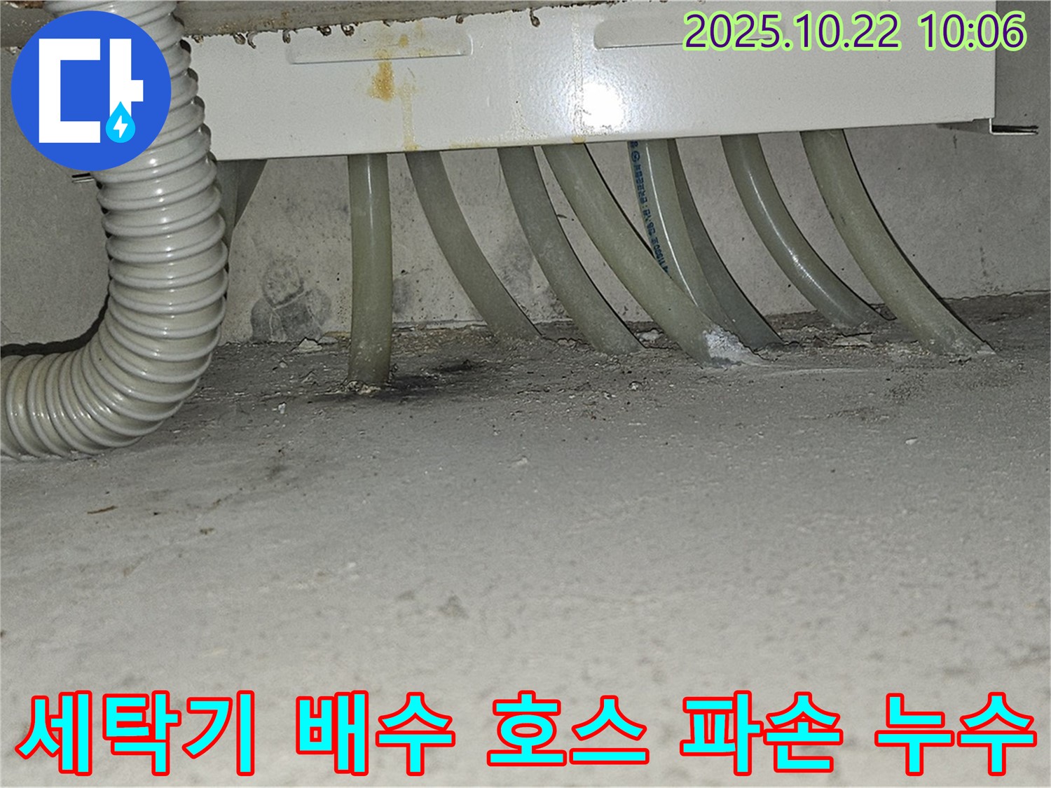도봉구 현대시티 아파트 - 세탁기 배수 호스 파손으로 인한 누수 발생 - 파손된 호스를 새 것으로 교체합니다.