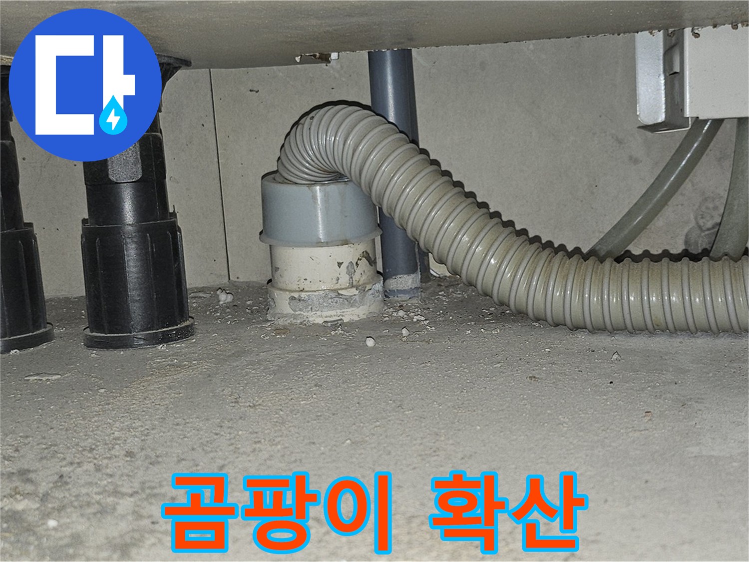 도봉동 누수 - 싱크대 하수구 주변 백시멘트 곰팡이 확산