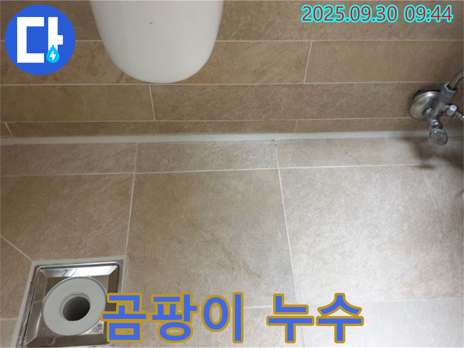 양주시 광적면 석우리 변기 테두리 곰팡이 누수 - 꼼꼼한 시공으로 완벽 해결!