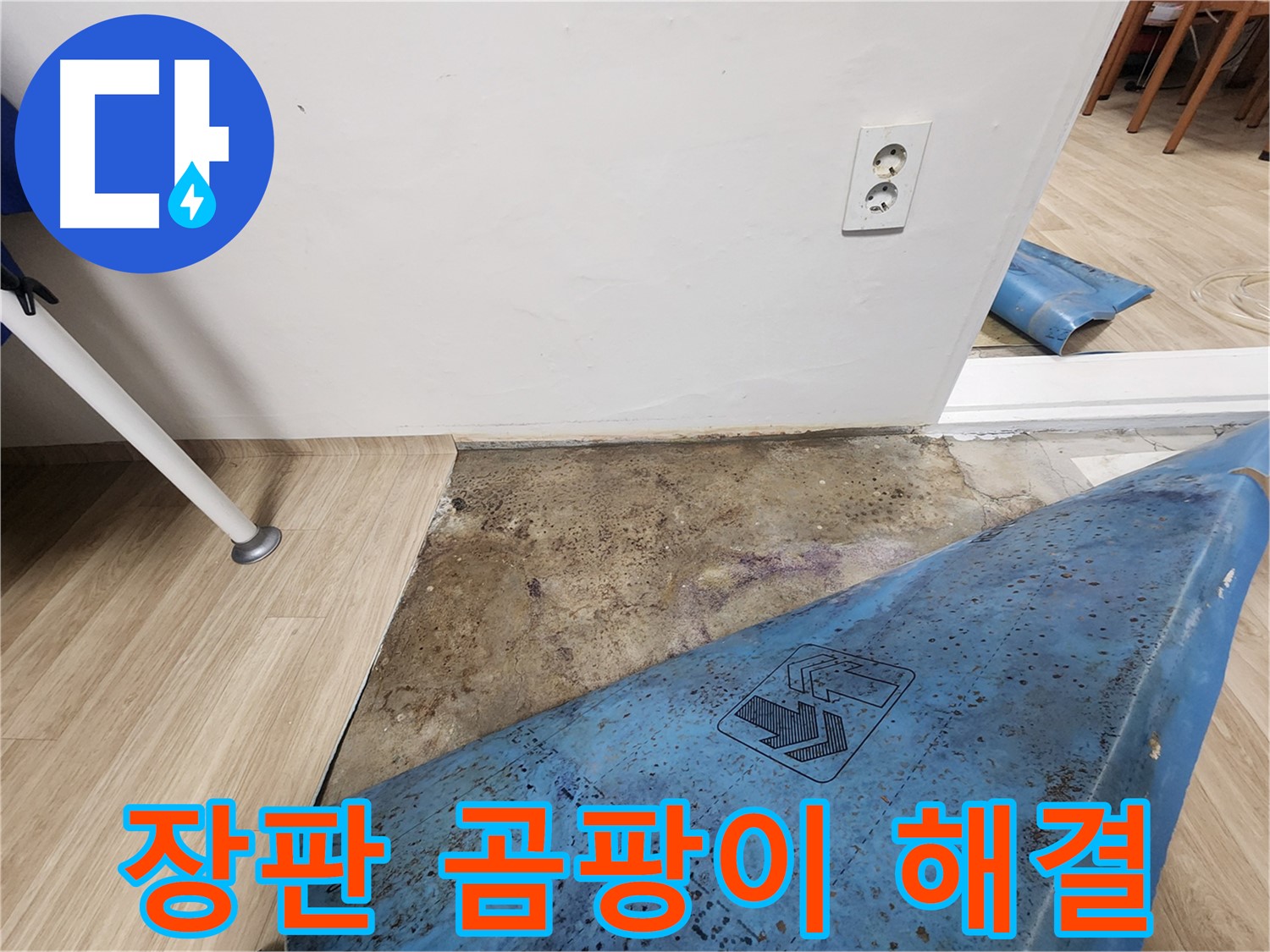 공릉동 누수 - 장판 아래 곰팡이 발견 - 건강 위협 누수 해결