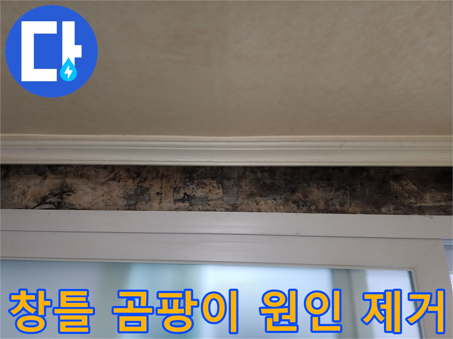 노원구 공릉동 누수 문제 해결 - 창틀 곰팡이 발생 원인 분석 및 제거