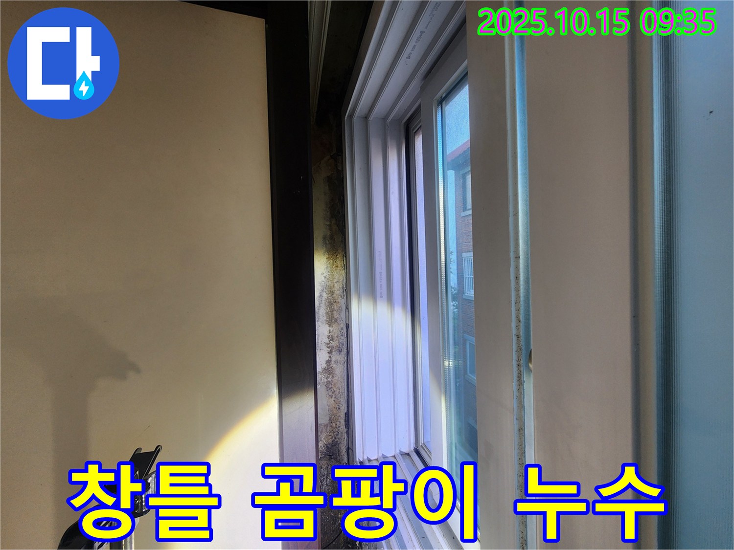 노원구 공릉동 빌라 창틀 주변 곰팡이와 누수 흔적 - 습기로 인한 곰팡이 발생과 누수 문제를 확인했습니다.