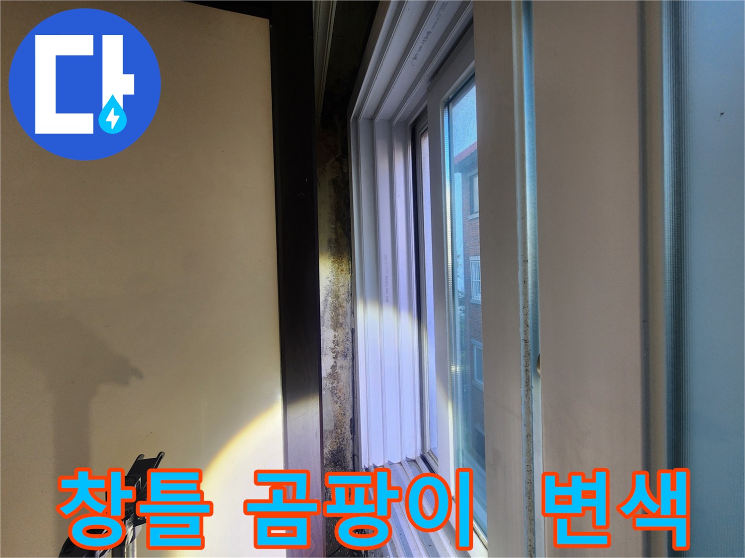 창틀 하단 곰팡이와 벽면 변색 - 누수 또는 결로 의심