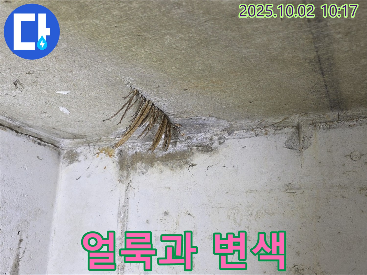 양주 신산리 콘크리트 천장 - 누수로 인한 얼룩과 변색