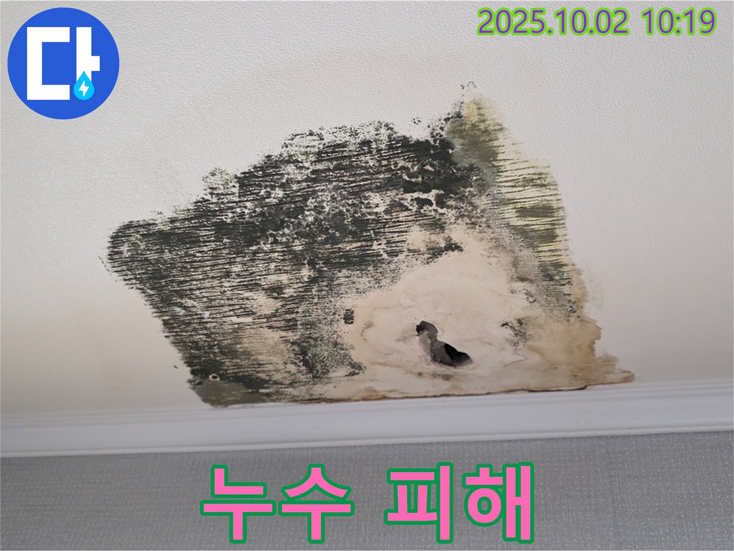 양주시 남면 신산리 주택 천장에 발생한 누수 피해 - 천장 손상과 곰팡이 발생으로 이어졌습니다.