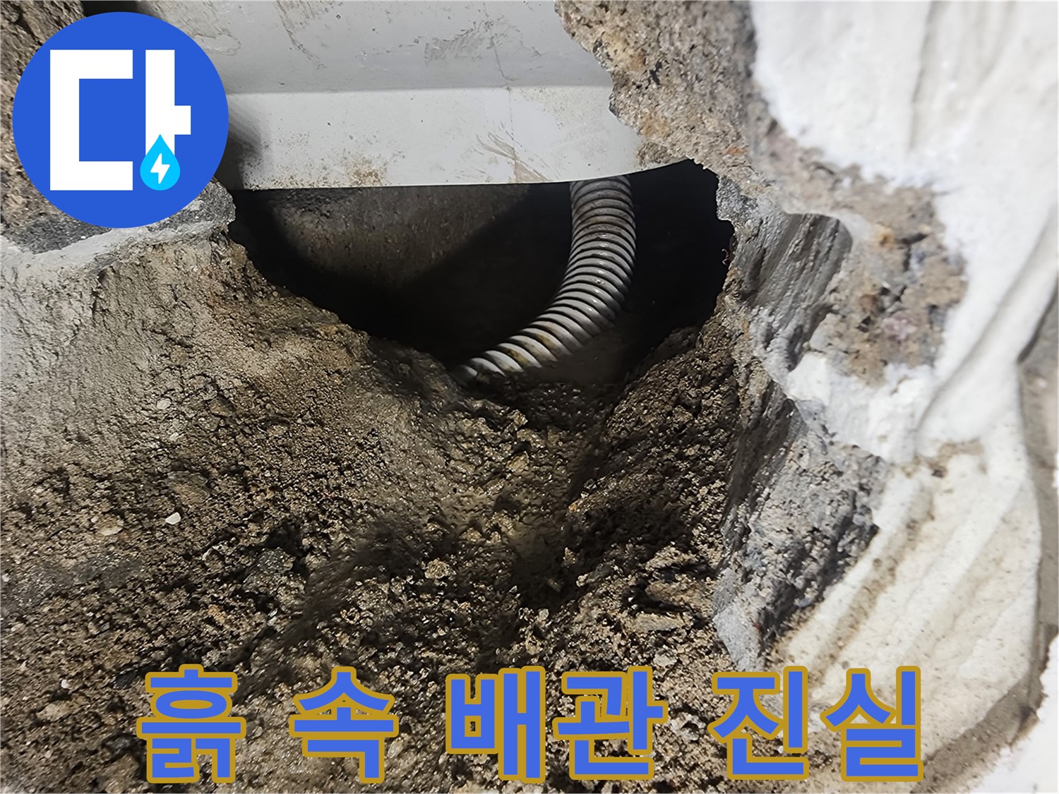 영등포구 당산동 욕조 누수 - 흙 속에 파묻힌 배관의 진실을 찾아서