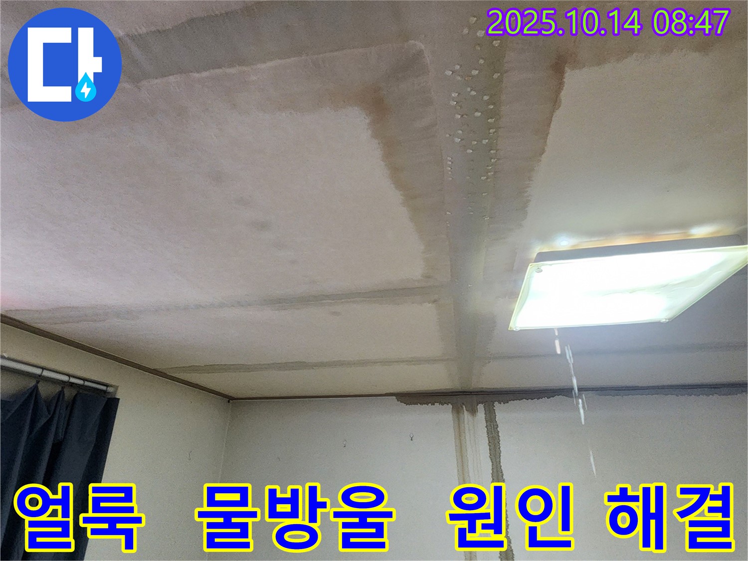 양주시 남면 두곡리 천장 누수 - 얼룩과 물방울, 누수 원인 찾고 해결