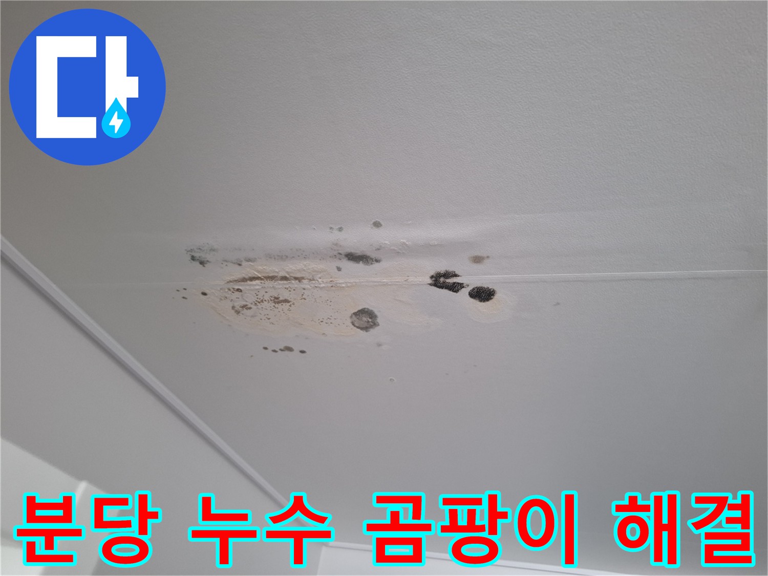 곰팡이 핀 천장 - 누수 해결이 우선, 곰팡이 제거는 그 다음