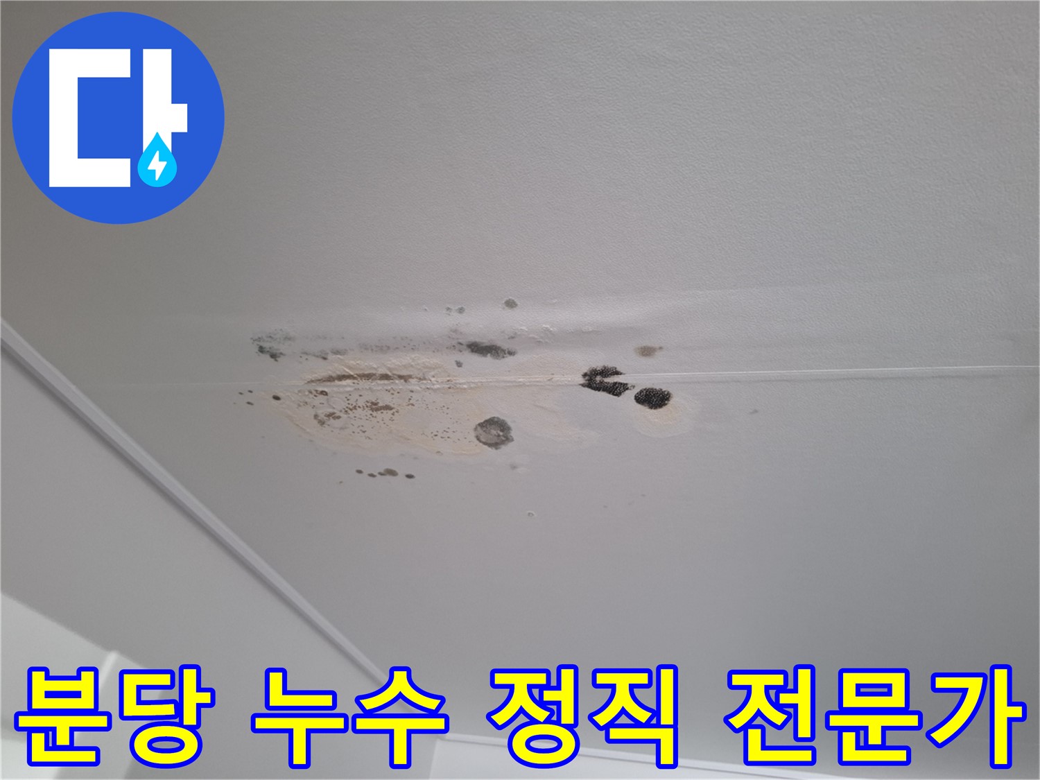누수 해결 - 정직한 전문가에게 맡기세요