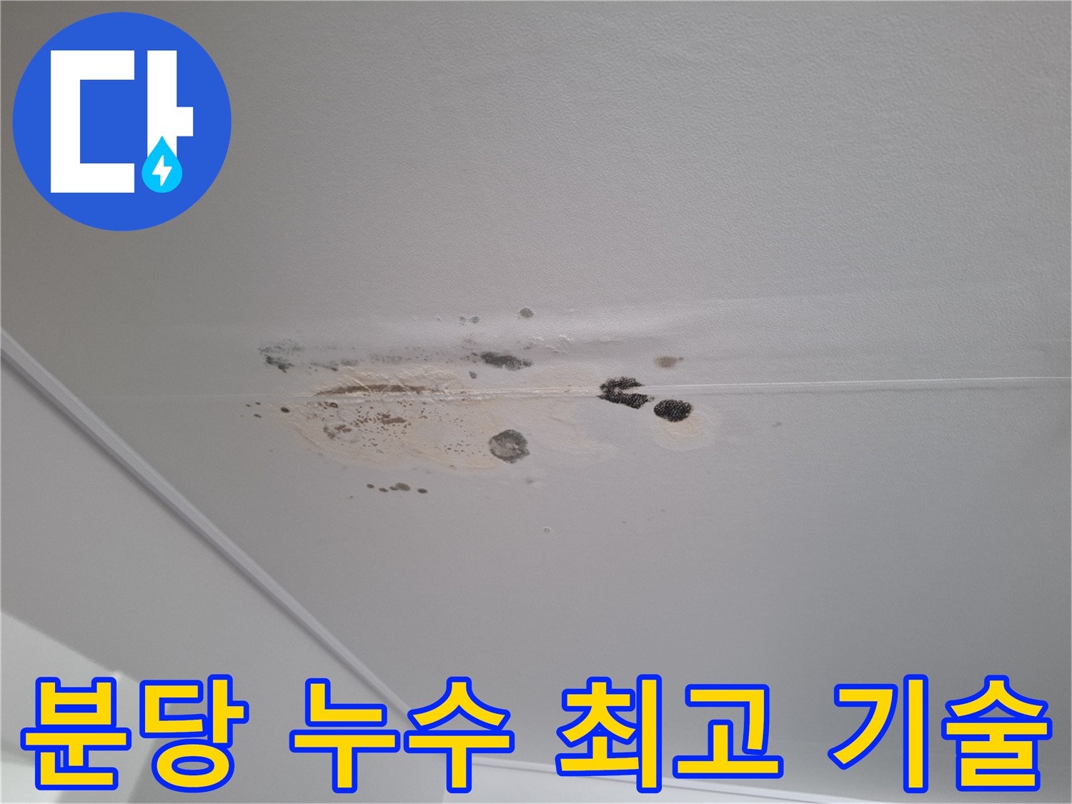 누수 해결 - 최고의 기술력으로 완벽하게 해결합니다