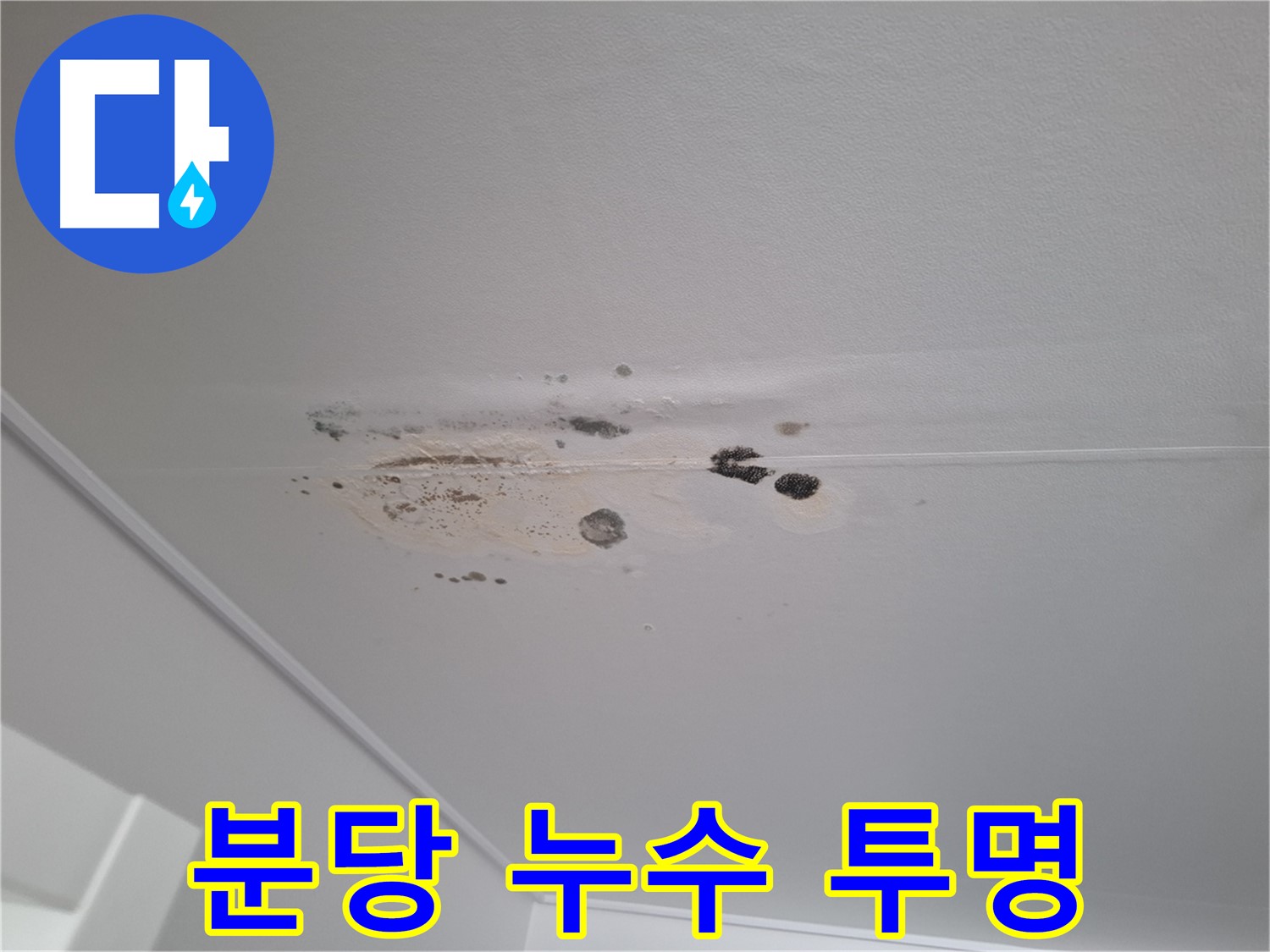 누수 해결 - 친절한 상담, 투명한 견적 제공