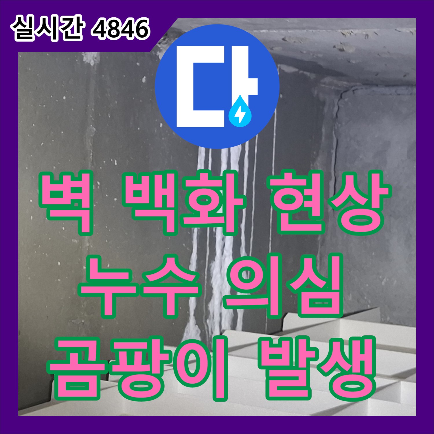 봇들마을 누수전문, 벽에 하얀 가루 백화 현상, 누수와 곰팡이 의심