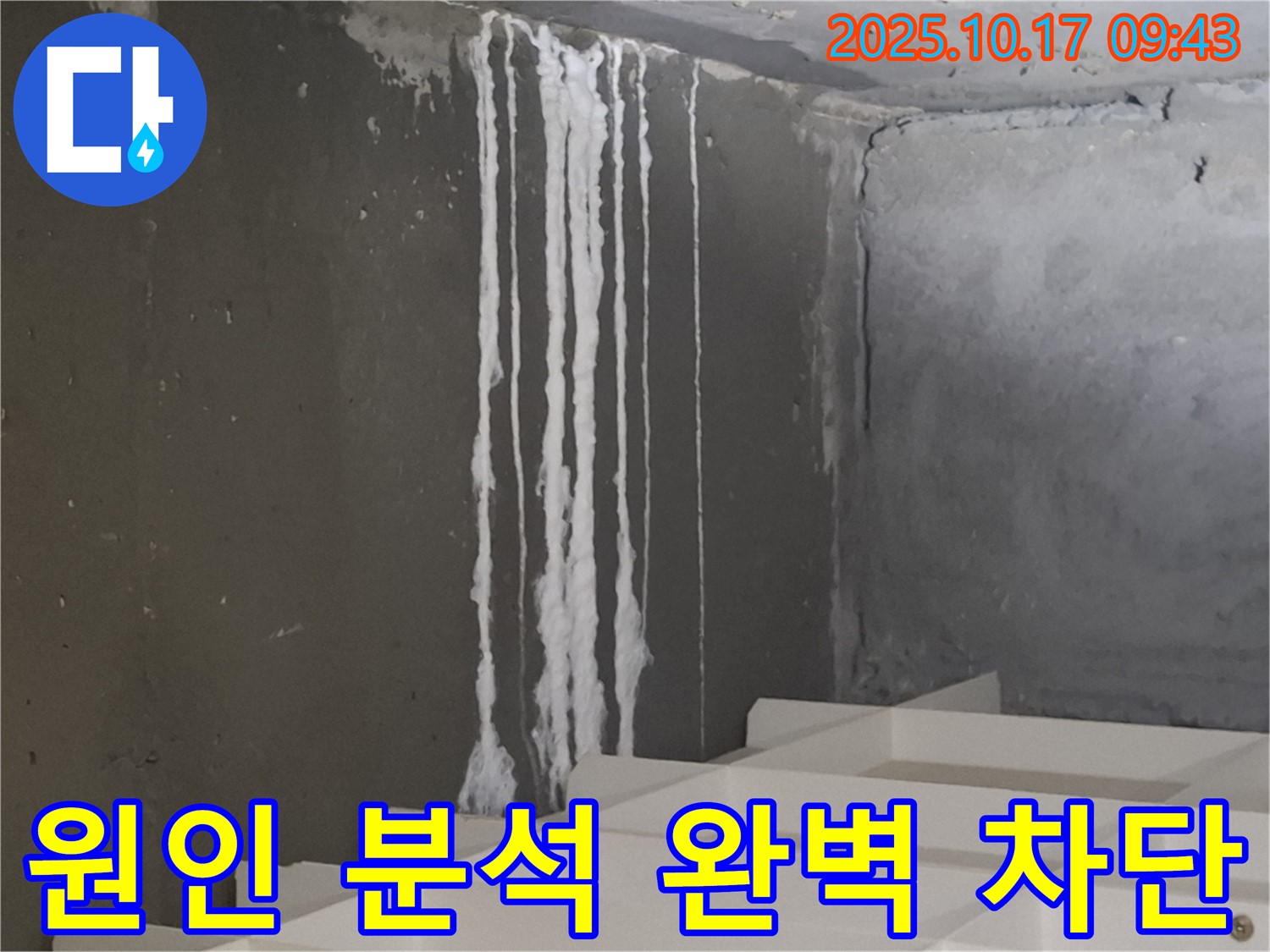 봇들마을2단지 아파트 계단 석회수 누출 - 원인 분석부터 완벽 차단까지