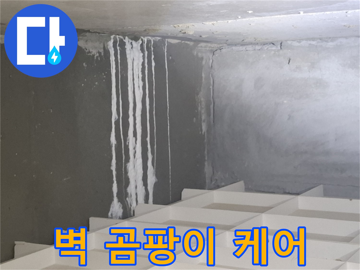 분당 누수 - 삼평동 아파트 벽에 맺힌 하얀 곰팡이 문제, 진단부터 시공까지 원스톱 솔루션 제공