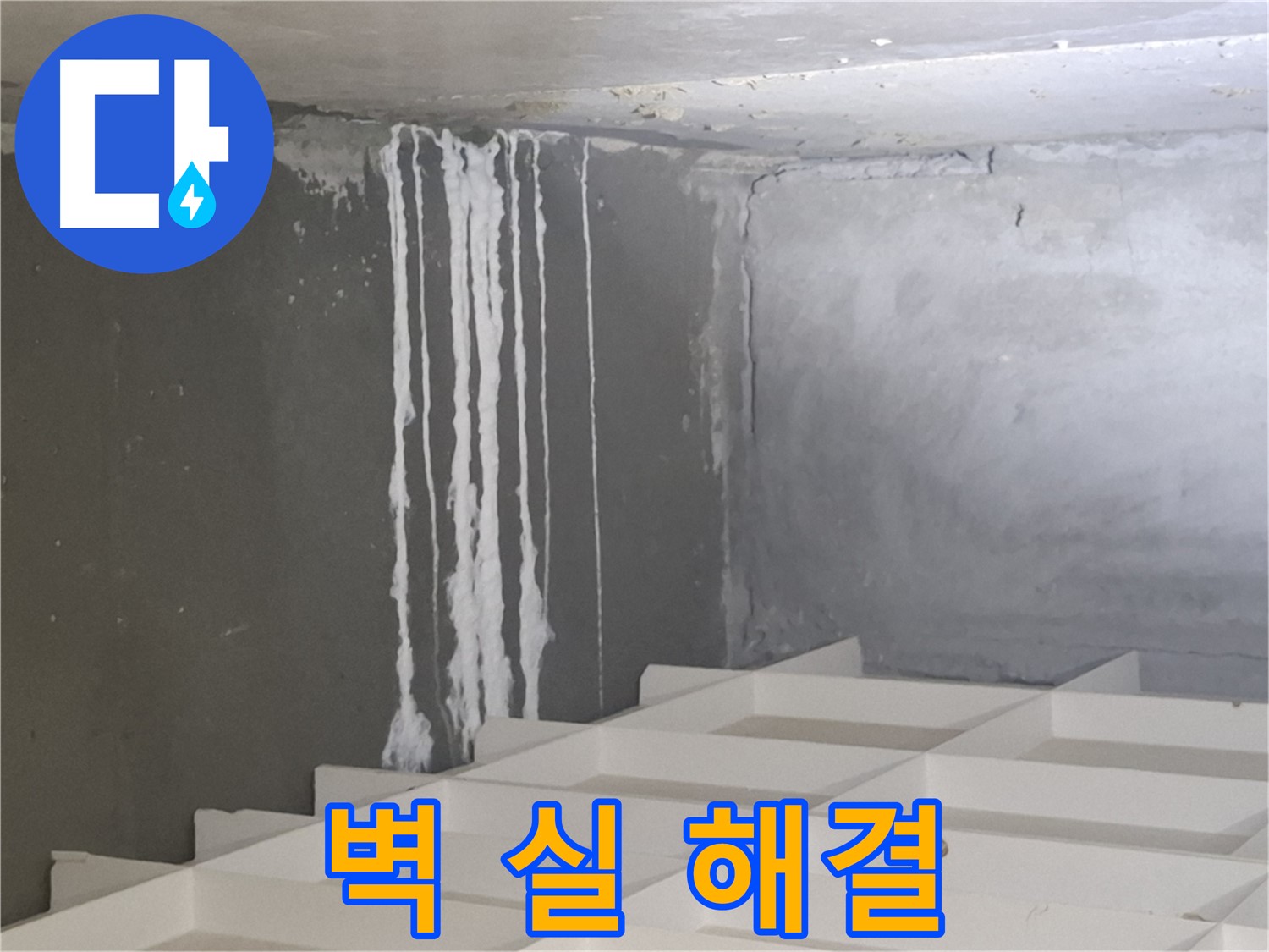 분당 누수 - 삼평동 아파트 벽에 하얀 실 문제, 진단부터 시공까지 원스톱 솔루션 제공