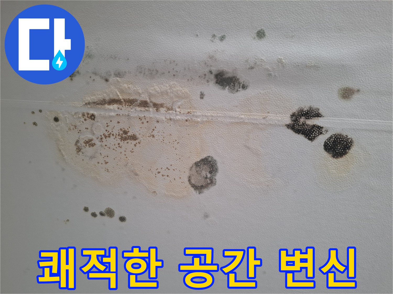 분당 봇들마을 누수 - 곰팡이 천장 제거 후 쾌적한 공간으로 변신