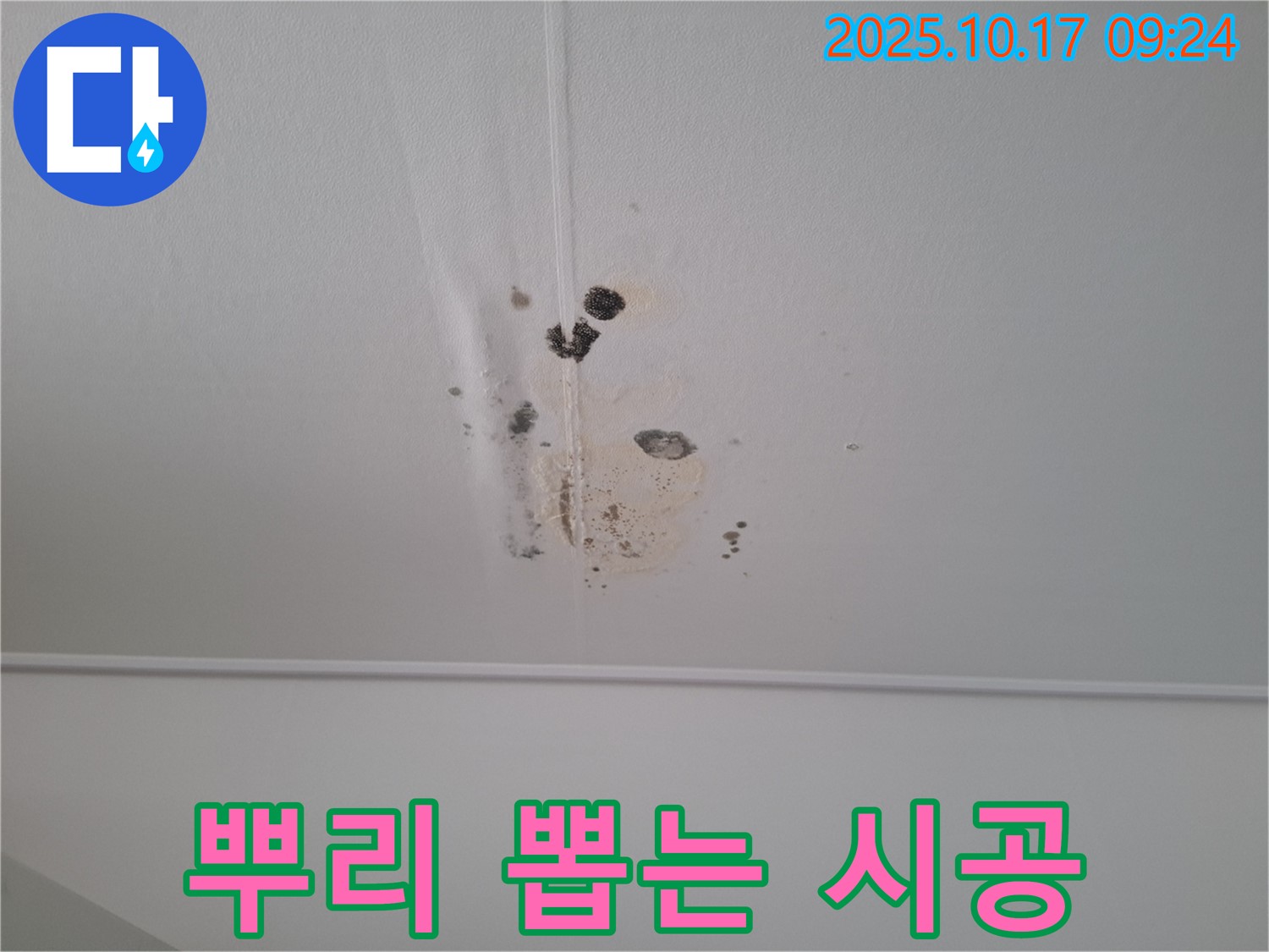 분당 봇들마을 아파트 206동 천장 누수 - 곰팡이 뿌리까지 뽑는 완벽 시공