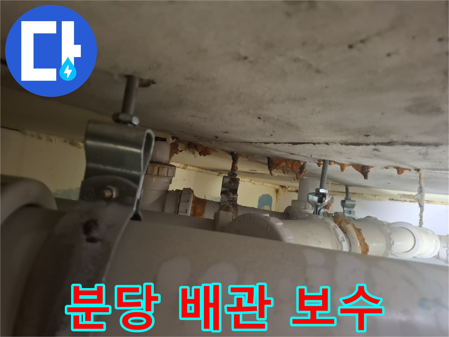분당 봇들마을 아파트 누수 - 누수 탐지 후 배관 꼼꼼하게 보수