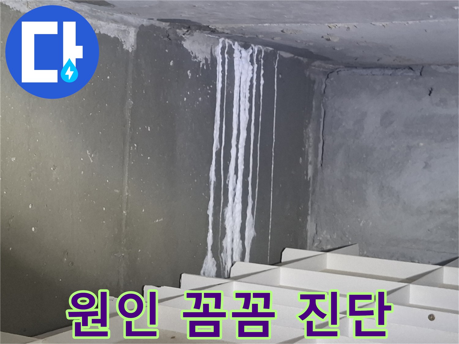 분당 봇들마을 아파트 누수 - 주차장 누수 원인을 꼼꼼하게 진단