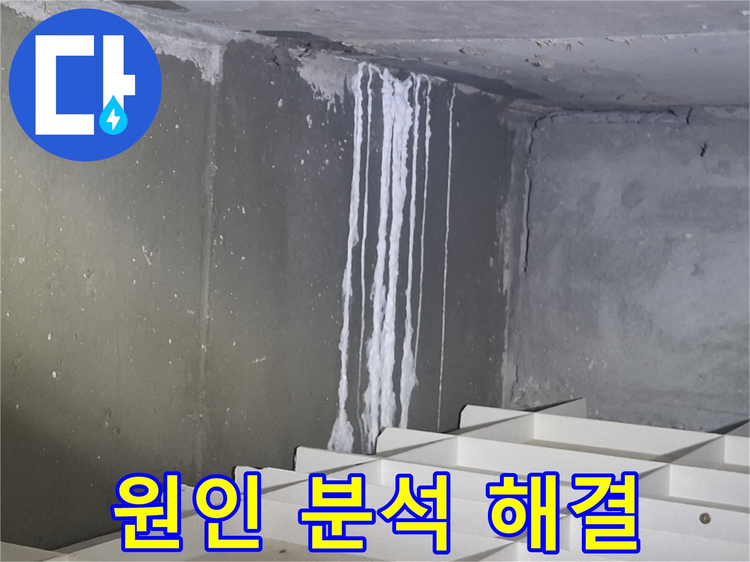 분당 봇들마을 아파트 - 석회 누수, 원인 분석부터 완벽 해결까지 책임집니다