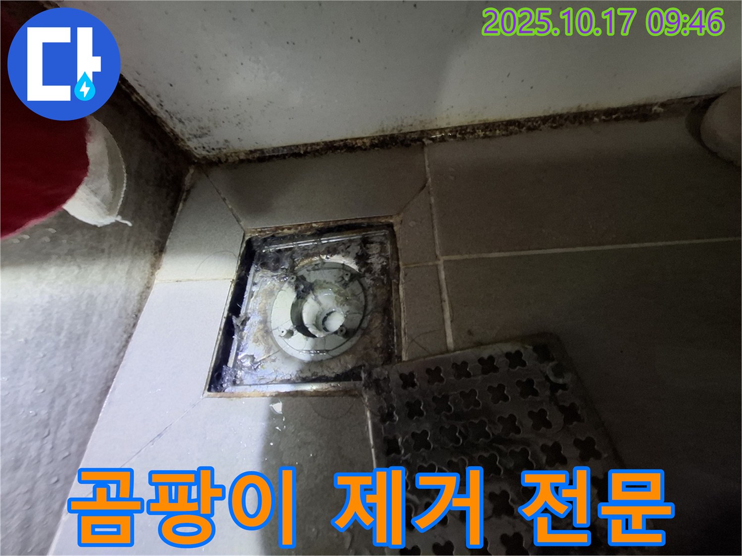 분당 봇들마을 아파트 욕실 배수구 곰팡이 제거 - 누수 방지 전문 기술력 - 쾌적한 욕실 환경을 책임집니다.