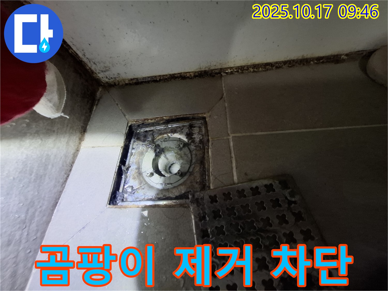 분당 봇들마을 아파트 - 욕실 배수구 곰팡이 제거 - 누수 원천 차단 - 전문 기술로 안심하고 사용하세요.