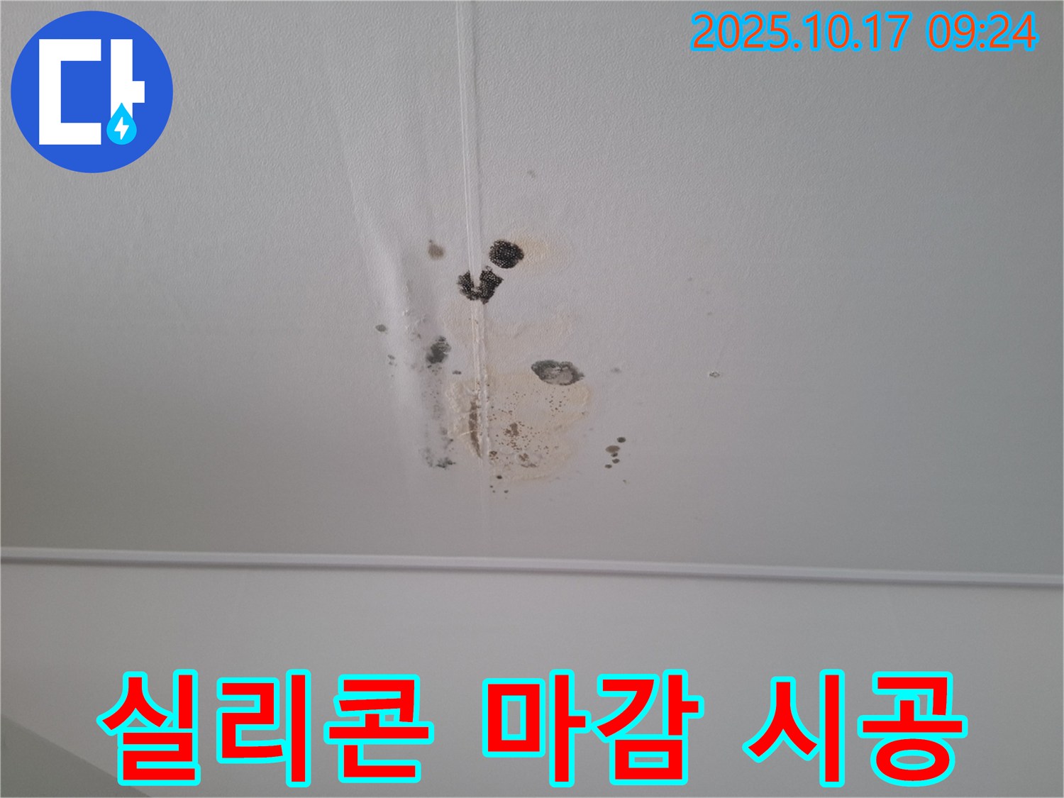 분당 봇들마을 아파트 천장 누수 - 곰팡이 제거 후 곰팡이 방지 실리콘 마감