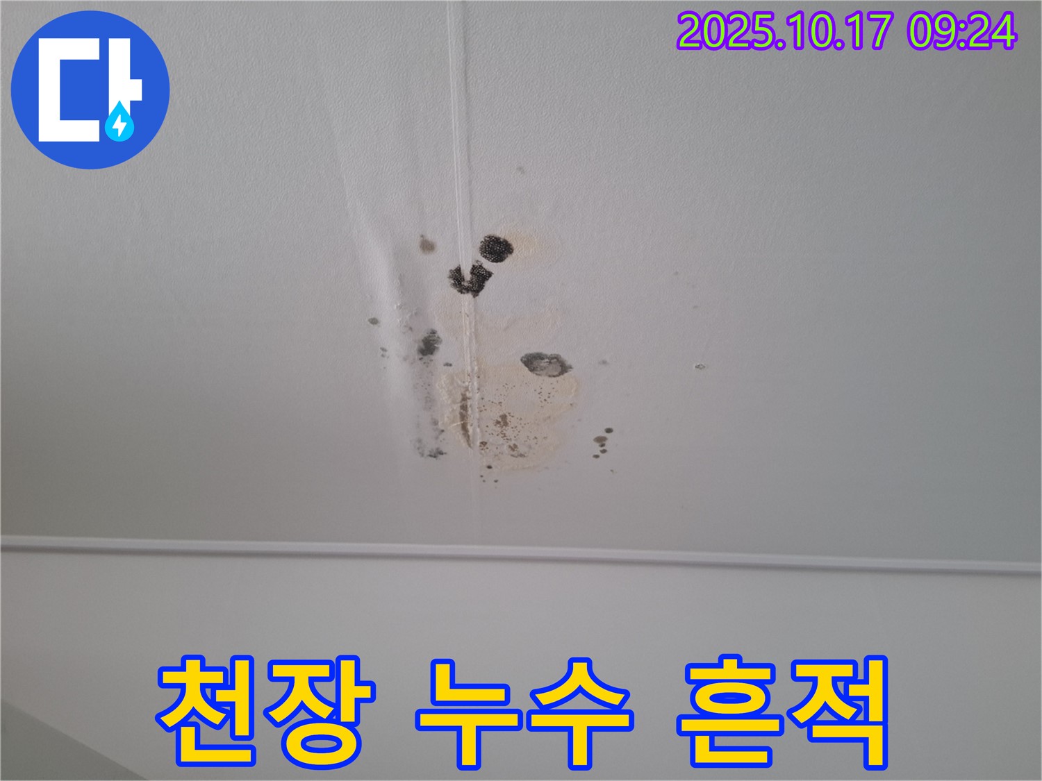 분당 봇들마을 아파트 천장 누수 - 누수 흔적과 곰팡이 발생