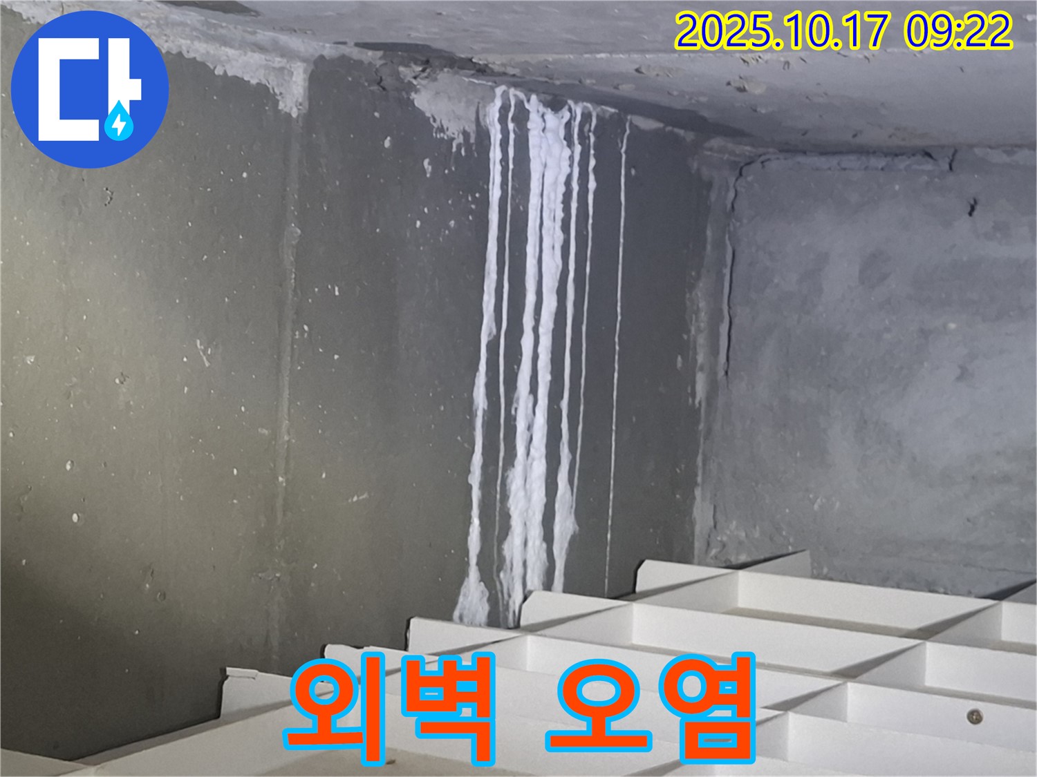 분당 봇들마을 콘크리트 누수 - 백화수, 건물 외벽 오염으로 도시 미관 저해.