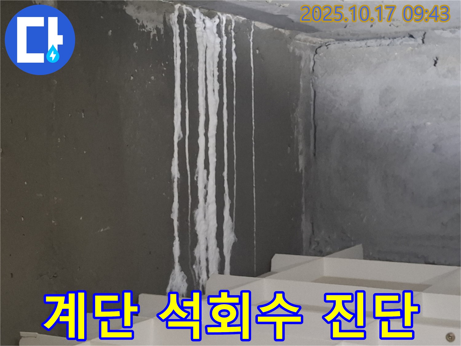 분당 봇들마을2단지 아파트 계단 석회수 누수 - 누수 진단