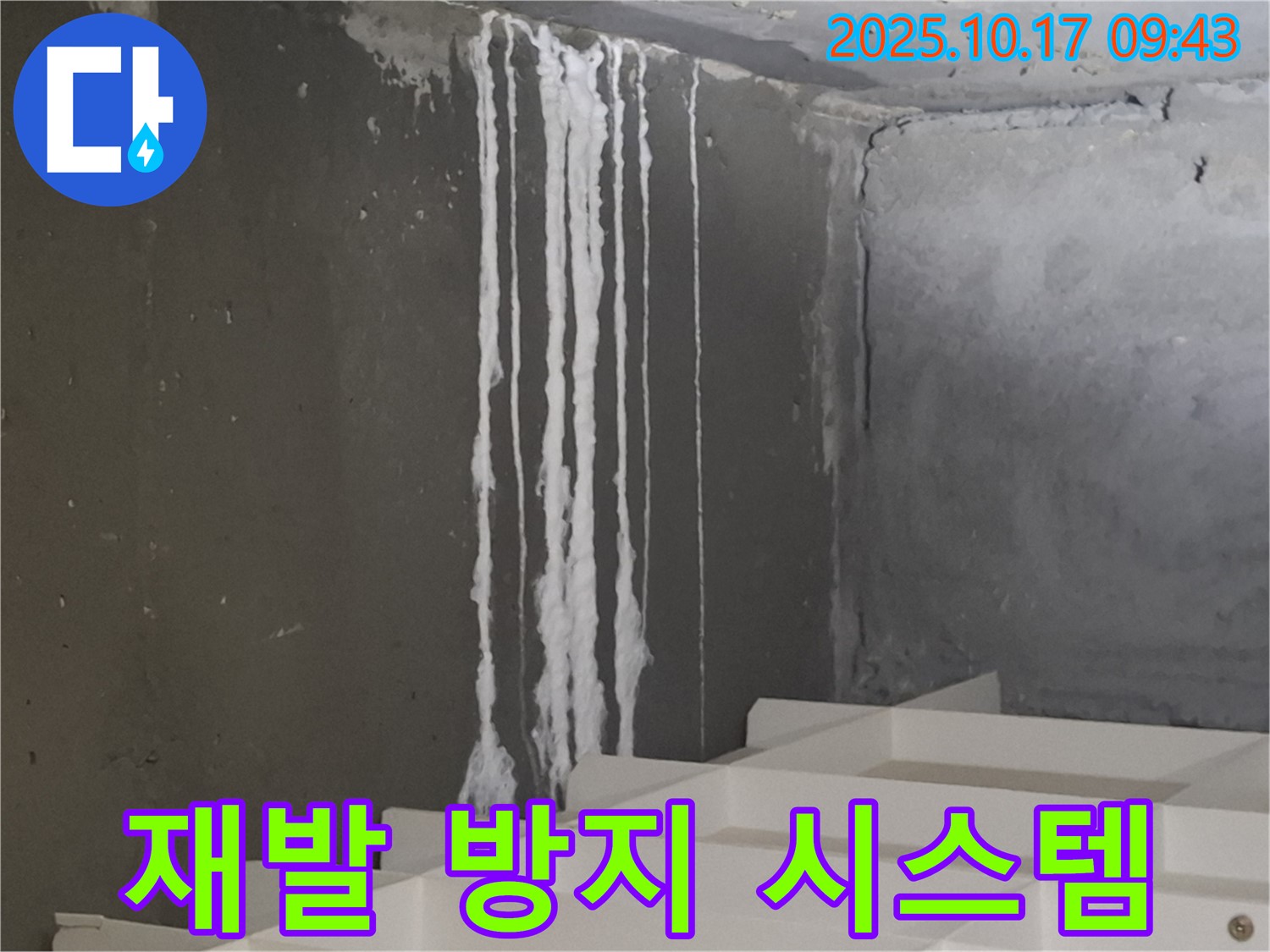 분당 봇들마을2단지 아파트 계단 석회수 누출 - 누수 재발 방지 시스템 완비