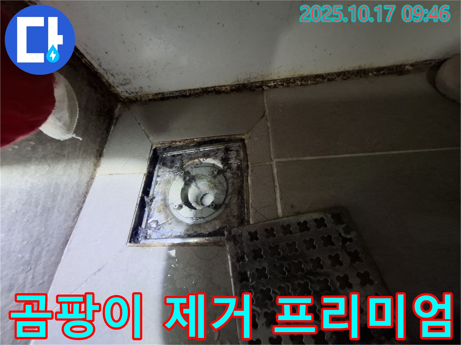 분당 봇들마을2단지 아파트 욕실 배수구 곰팡이 제거 - 누수 완벽 차단 프리미엄 시공 - 쾌적한 욕실 환경을 만들어 드립니다.