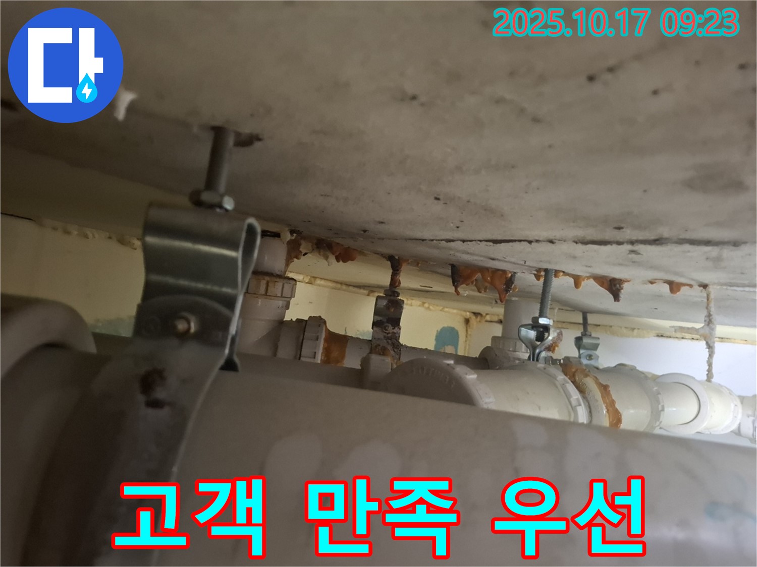 분당 삼평동 봇들마을 206동 아파트 - 고객 만족을 최우선으로 생각하는 누수 전문가