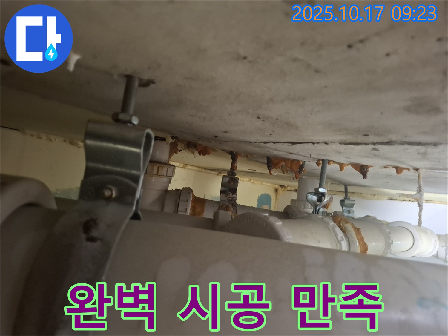 분당 삼평동 봇들마을 206동 아파트 - 완벽한 시공, 합리적인 가격으로 고객 만족