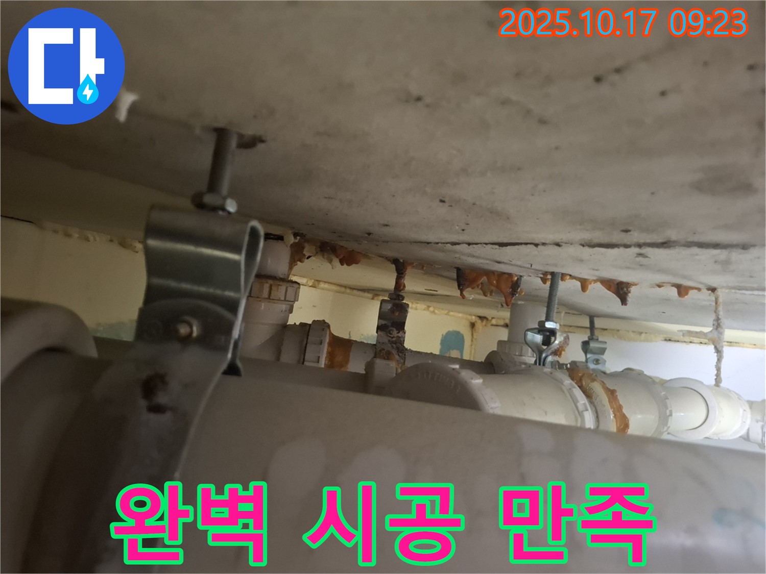 분당 삼평동 봇들마을 206동 아파트 - 완벽한 시공, 합리적인 가격으로 고객 만족