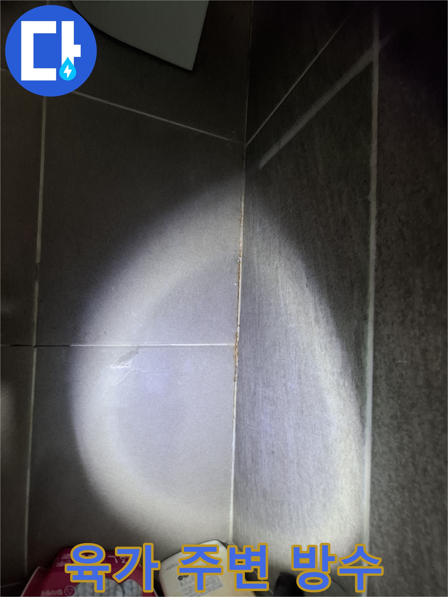 분당 삼평동 봇들마을 아파트 욕실 누수 - 육가 주변 타일 틈새, 꼼꼼한 방수 시공